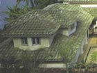 roof style 8