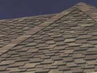 roof style 10